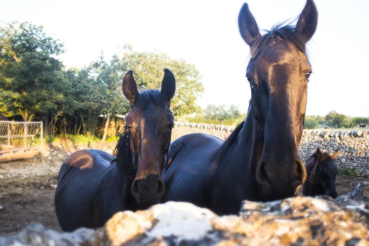 Trulli Sul Vignale In Masseria Santalachicca Martina Franca Kültér fotó