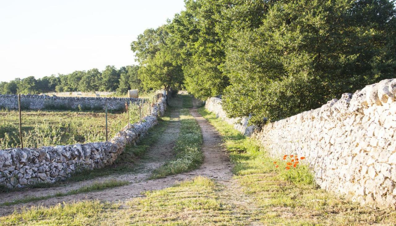 Trulli Sul Vignale In Masseria Santalachicca Martina Franca Kültér fotó
