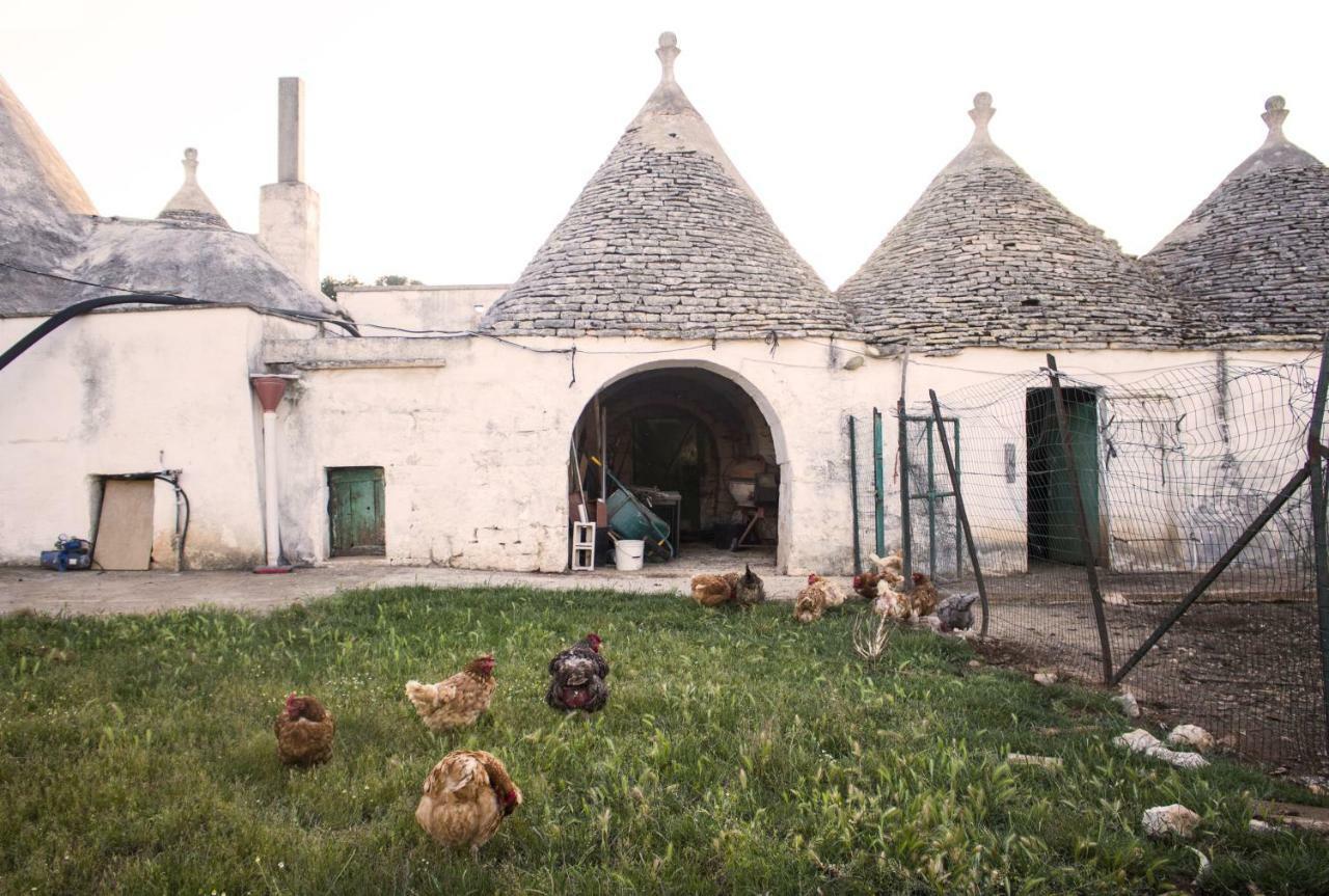 Trulli Sul Vignale In Masseria Santalachicca Martina Franca Kültér fotó